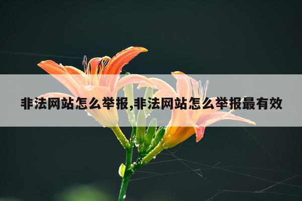 非法网站怎么举报,非法网站怎么举报最有效