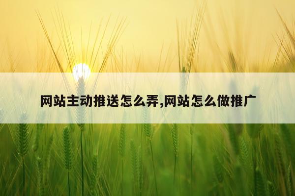 网站主动推送怎么弄,网站怎么做推广