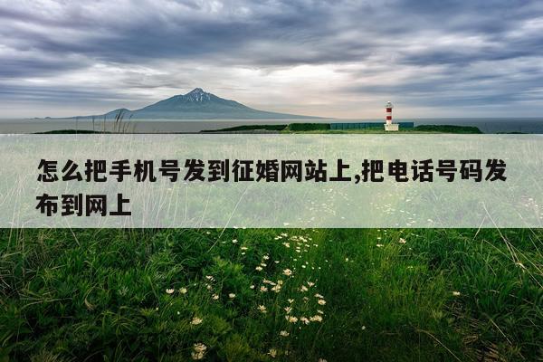 怎么把手机号发到征婚网站上,把电话号码发布到网上