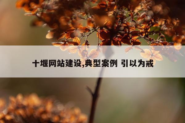 十堰网站建设,典型案例 引以为戒
