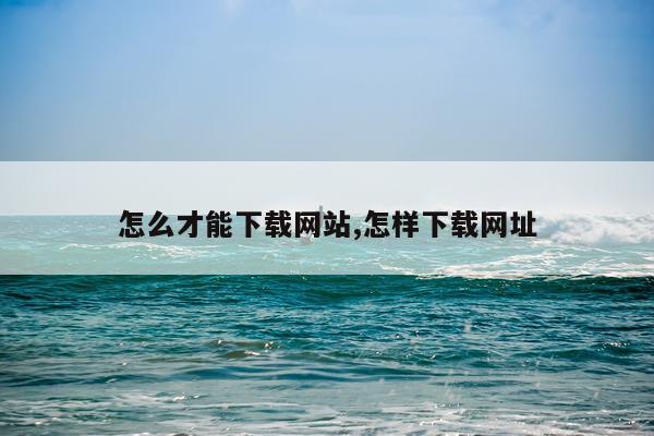 怎么才能下载网站,怎样下载网址