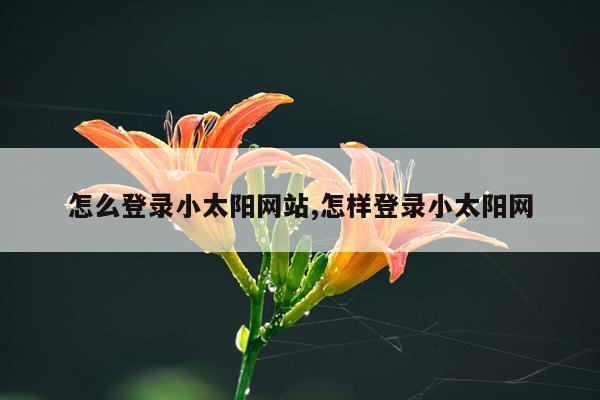 怎么登录小太阳网站,怎样登录小太阳网
