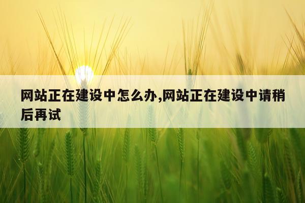 网站正在建设中怎么办,网站正在建设中请稍后再试