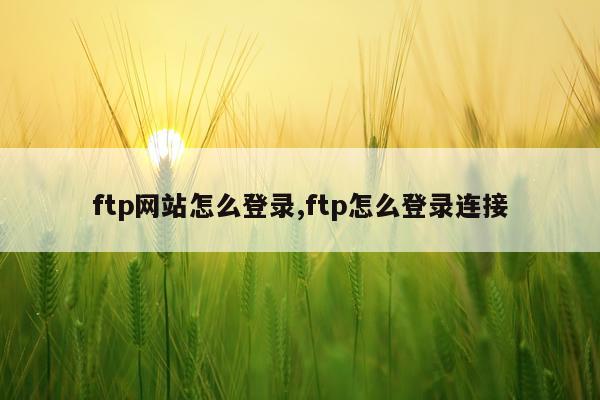 ftp网站怎么登录,ftp怎么登录连接