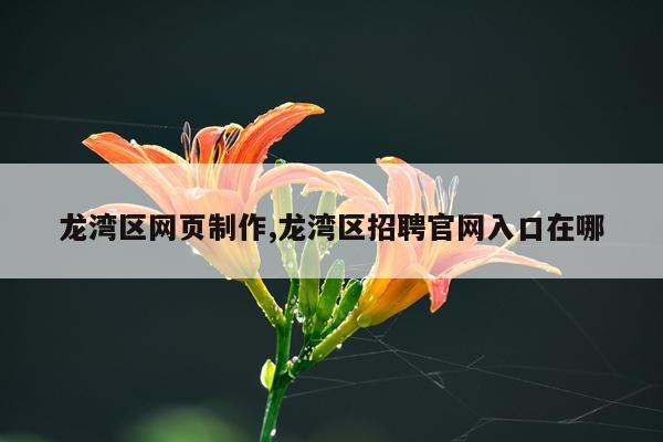 龙湾区网页制作,龙湾区招聘官网入口在哪