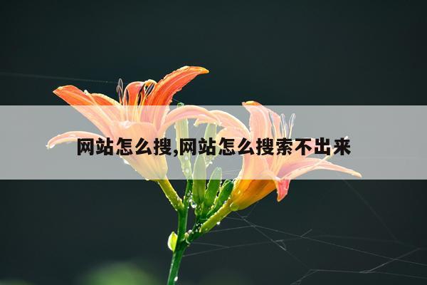 网站怎么搜,网站怎么搜索不出来