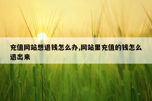 充值网站想退钱怎么办,网站里充值的钱怎么退出来