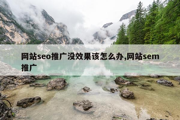 网站seo推广没效果该怎么办,网站sem推广