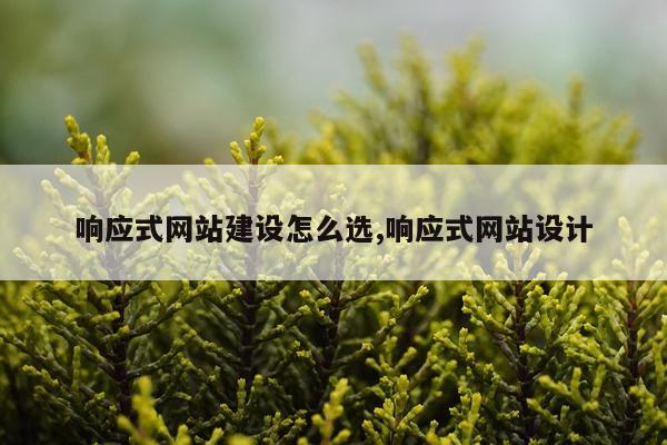 响应式网站建设怎么选,响应式网站设计