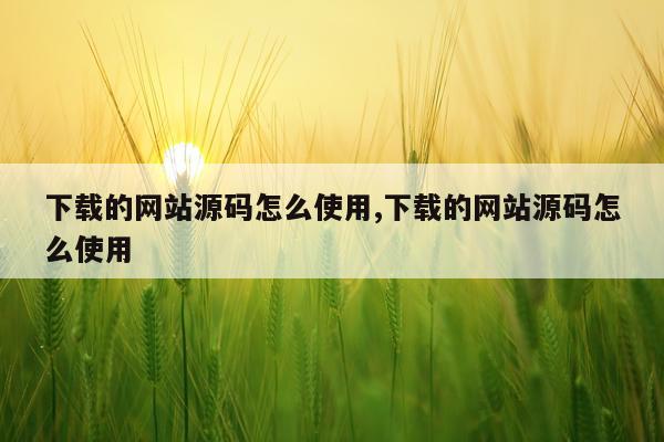 下载的网站源码怎么使用,下载的网站源码怎么使用