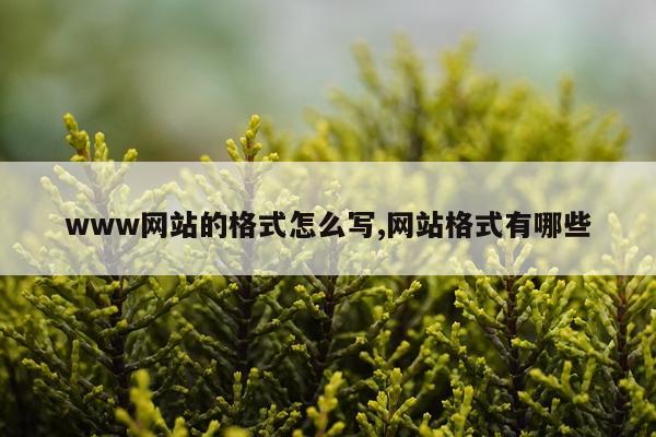 www网站的格式怎么写,网站格式有哪些