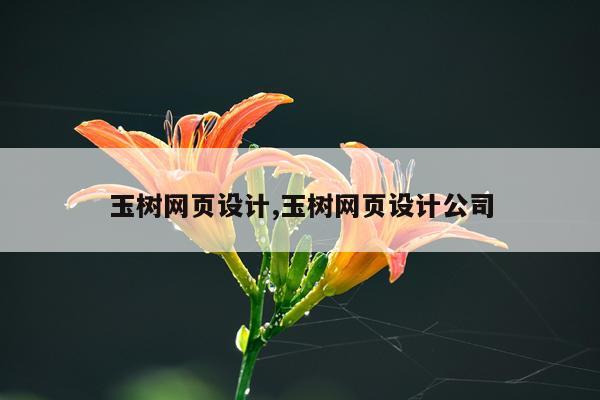 玉树网页设计,玉树网页设计公司