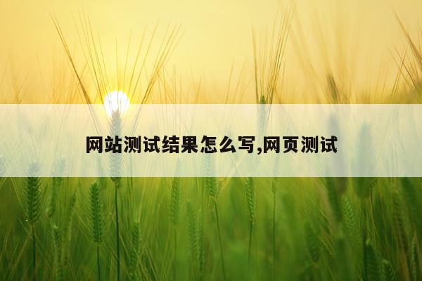 网站测试结果怎么写,网页测试