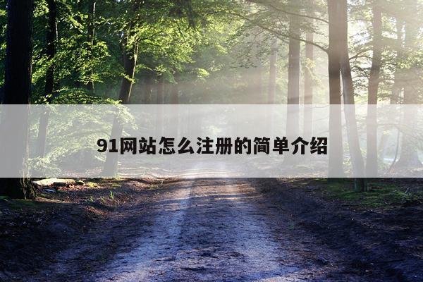 91网站怎么注册的简单介绍