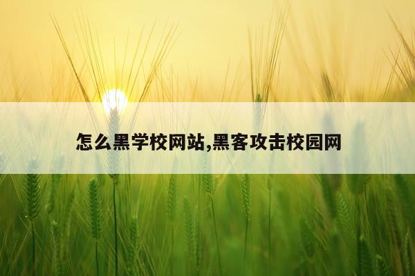 怎么黑学校网站,黑客攻击校园网