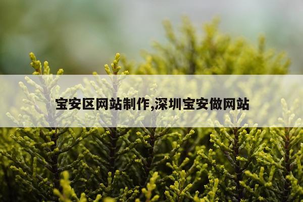 宝安区网站制作,深圳宝安做网站