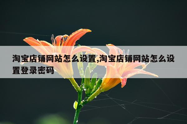 淘宝店铺网站怎么设置,淘宝店铺网站怎么设置登录密码