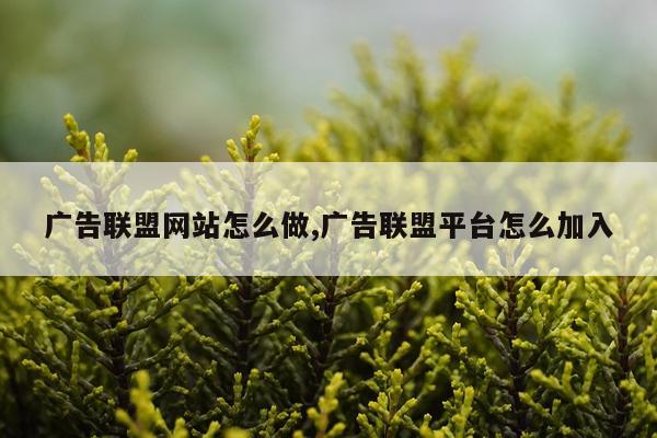 广告联盟网站怎么做,广告联盟平台怎么加入