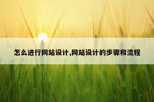怎么进行网站设计,网站设计的步骤和流程