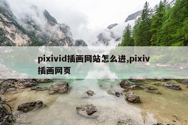 pixivid插画网站怎么进,pixiv插画网页