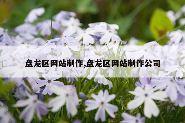 盘龙区网站制作,盘龙区网站制作公司