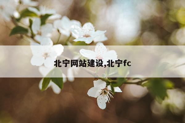 北宁网站建设,北宁fc
