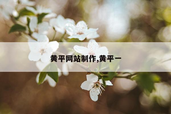 黄平网站制作,黄平一