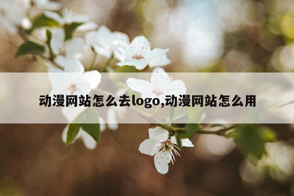 动漫网站怎么去logo,动漫网站怎么用