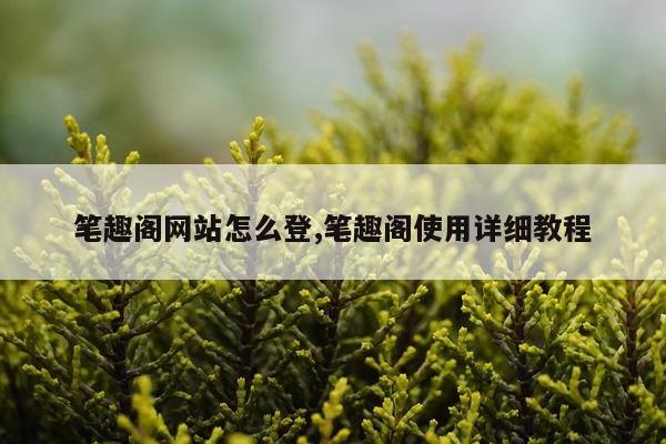 笔趣阁网站怎么登,笔趣阁使用详细教程