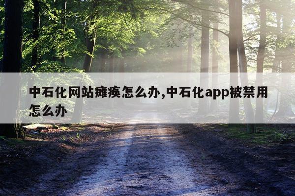 中石化网站瘫痪怎么办,中石化app被禁用怎么办