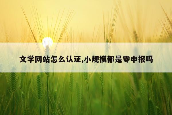 文学网站怎么认证,小规模都是零申报吗
