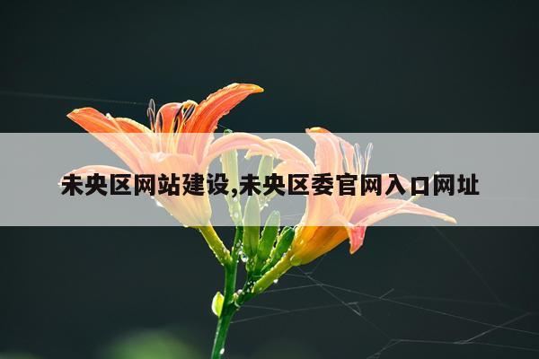 未央区网站建设,未央区委官网入口网址