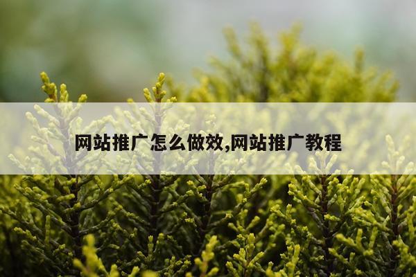 网站推广怎么做效,网站推广教程