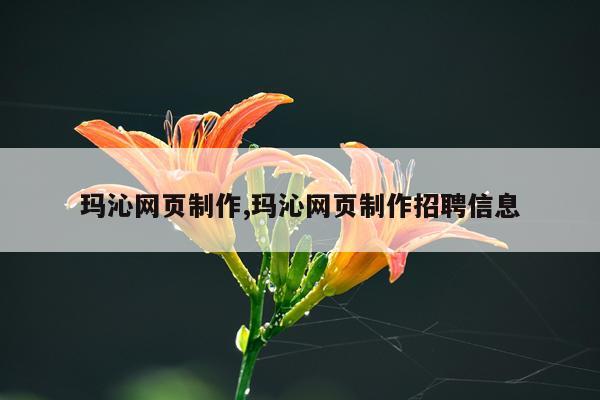 玛沁网页制作,玛沁网页制作招聘信息