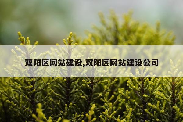 双阳区网站建设,双阳区网站建设公司