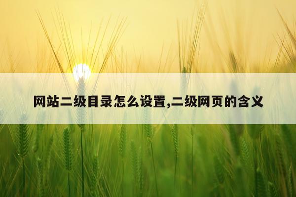 网站二级目录怎么设置,二级网页的含义