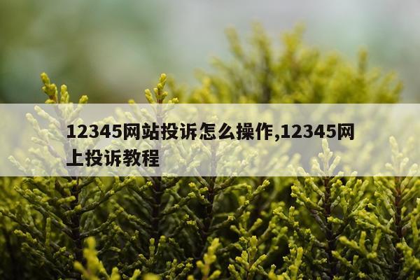 12345网站投诉怎么操作,12345网上投诉教程