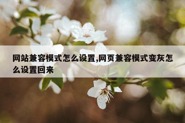 网站兼容模式怎么设置,网页兼容模式变灰怎么设置回来