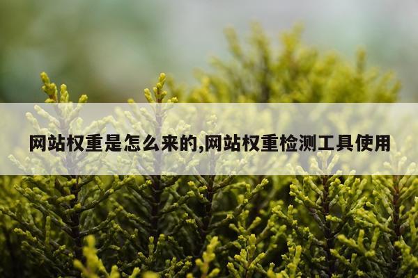 网站权重是怎么来的,网站权重检测工具使用