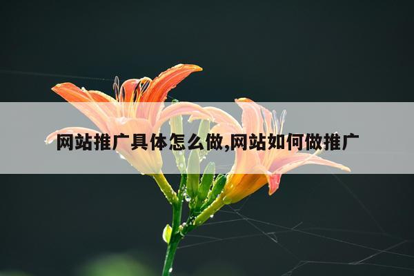 网站推广具体怎么做,网站如何做推广
