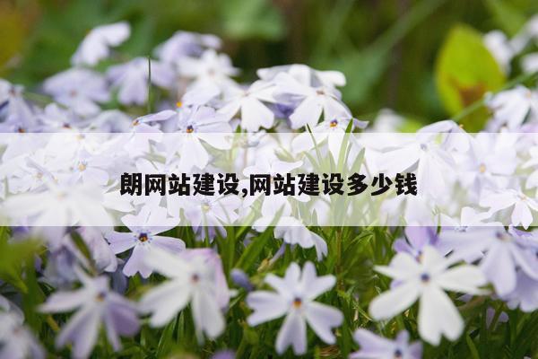 朗网站建设,网站建设多少钱