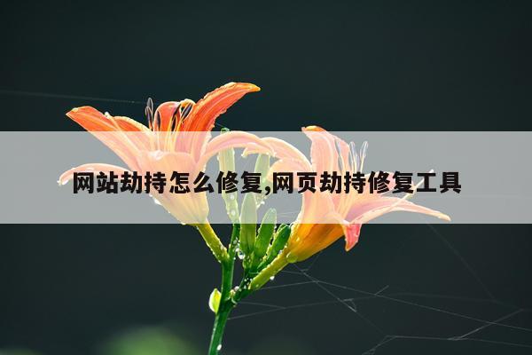 网站劫持怎么修复,网页劫持修复工具