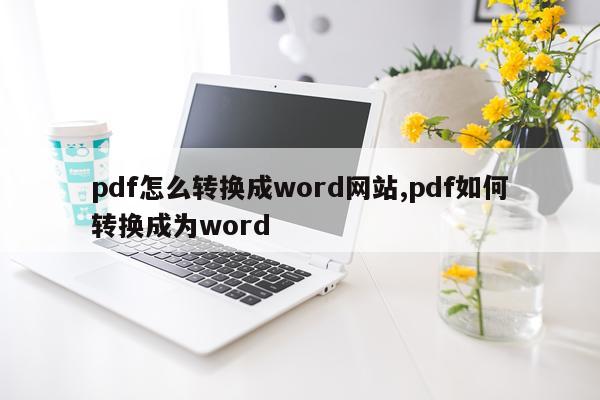 pdf怎么转换成word网站,pdf如何转换成为word