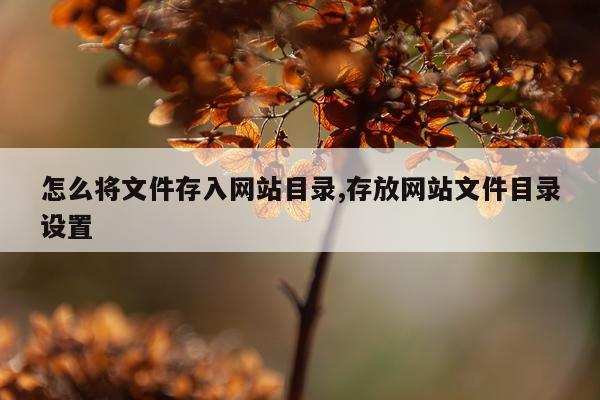 怎么将文件存入网站目录,存放网站文件目录设置