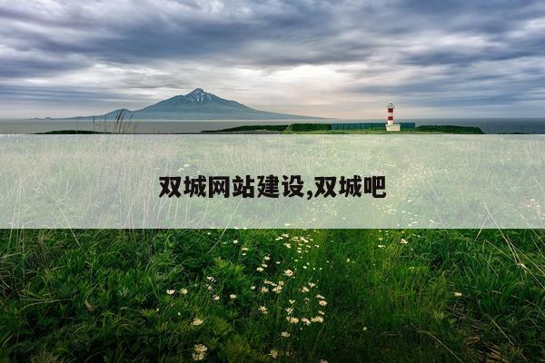 双城网站建设,双城吧