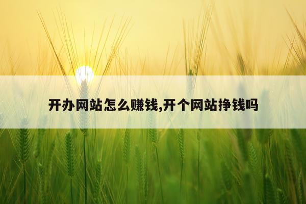 开办网站怎么赚钱,开个网站挣钱吗