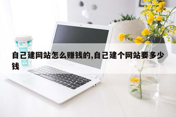 自己建网站怎么赚钱的,自己建个网站要多少钱