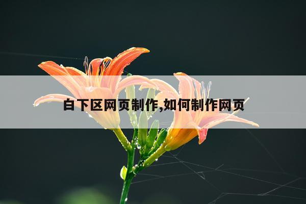 白下区网页制作,如何制作网页