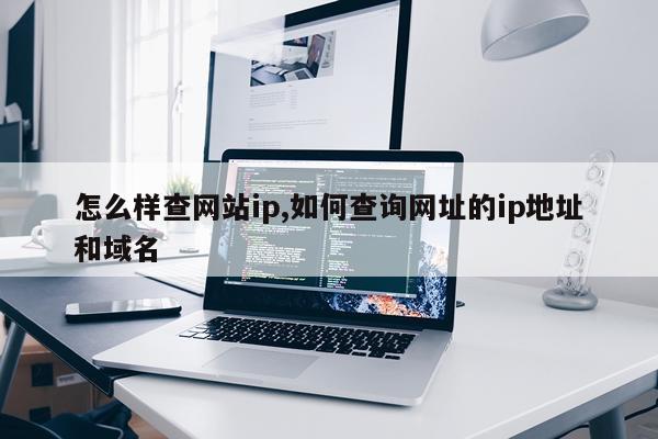 怎么样查网站ip,如何查询网址的ip地址和域名