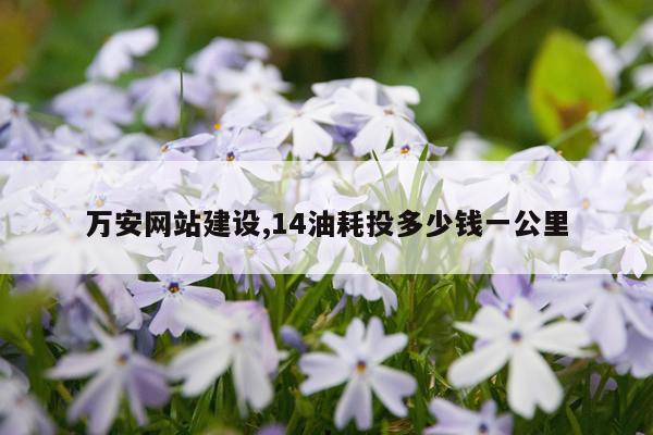 万安网站建设,14油耗投多少钱一公里